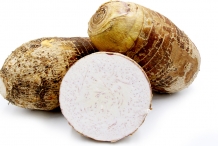Giant-Taro-rhizome-cut