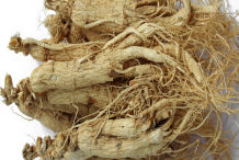 Dried-Ginseng-Root