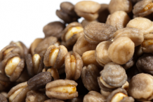 Ginseng-Seeds