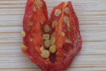 Half-cut-Goji-berry