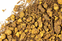 Dried-Goldenseal-root