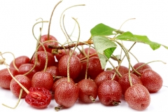 Goumi-Berry