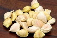 Grapefruit-seeds