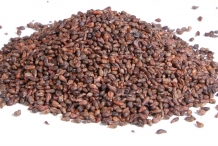 Grape-seeds