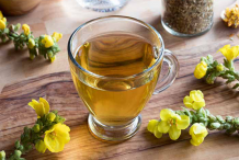 Great-mullein-tea