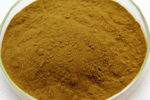 Greater-Celandine-Powder