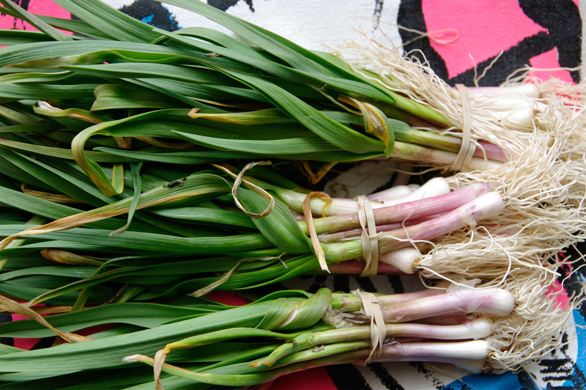 Green-garlic-6