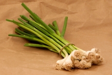 Green-garlic-2