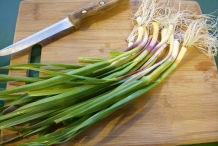 Green-garlic-4