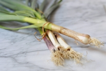 Green-garlic-5