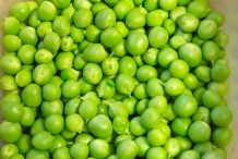 Green-peas-seeds