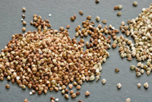 Guar-beans-seeds