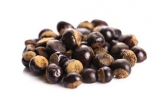 Seeds