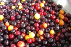 Guavaberries