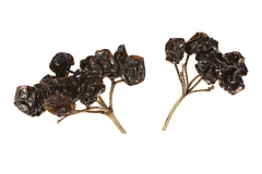 Dried-Guelder-Rose