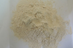 Powder