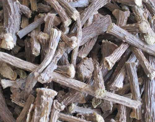 Dried-Gulancha-tinospara-herb