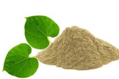 Gulancha-tinospara-powder