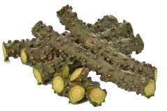 Stem-of-Gulancha-tinospara