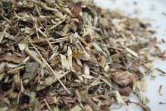 Dried-Gumplant