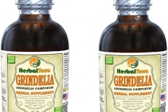 Liquid-Extract-of-Gumplant