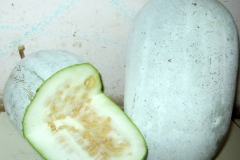Half-cut-Hairy-cucumber