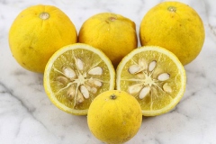 Half-cut-Hardy-orange