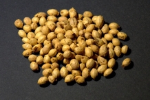 Hawthorn-berry-seeds