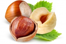 Hazelnuts-cut