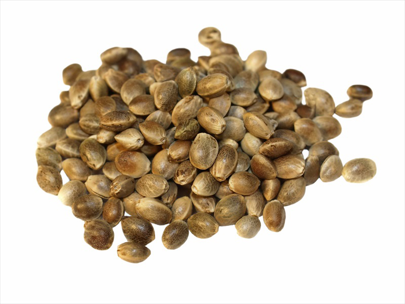 Hemp-seeds