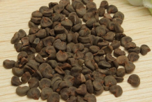 Seeds-of-Hibiscus
