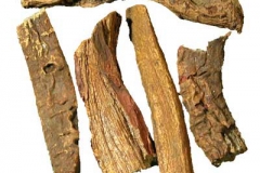 Dried-Himalayan-Rhubarb-herb