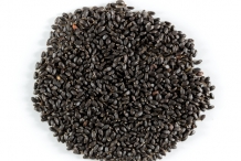 Holy-Basil-seeds
