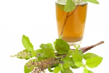 Holy-Basil-tea