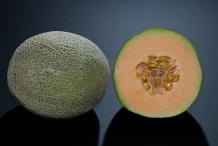 Honeydew-melon-cut