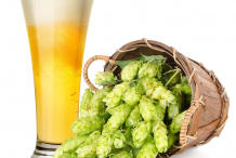 Beer and hop in basket