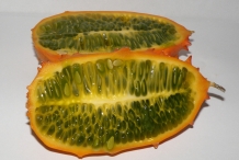 Half-cut-Horned-melon