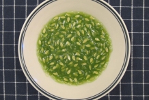Horned-melon-pulp