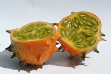 Half-cut-Horned-melon