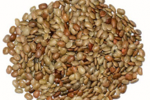 Horse-gram