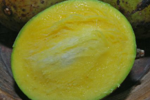 Half-cut-Horse-Mango