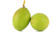Unripe-Horse-Mango