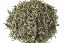 Dried-Horsetail