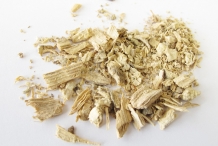 Hydrangea-root