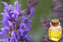 Hyssop-Essential-oil