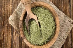 Powder-of-Indian-Acalypha