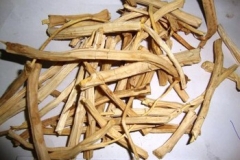 Dried-roots-of-Indian-asparagus