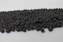 Seeds-of-Indian-asparagus