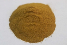 Indian-Barberry-root-powder