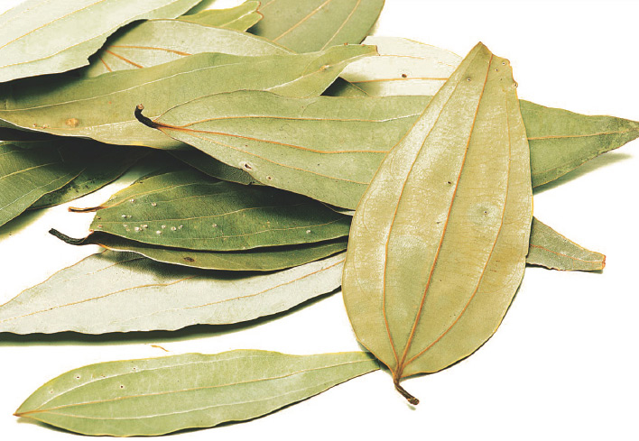 Indian-Bay-Leaf--Tamālapatra